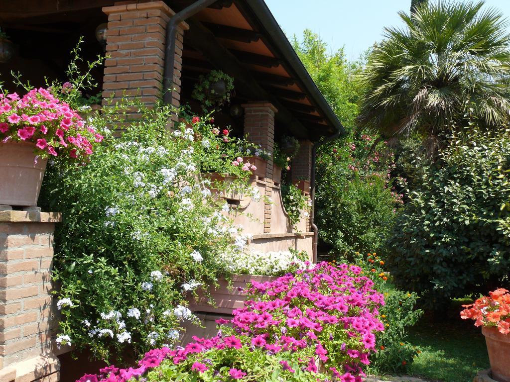 Agriturismo Da Lorena Marsiliana Kültér fotó