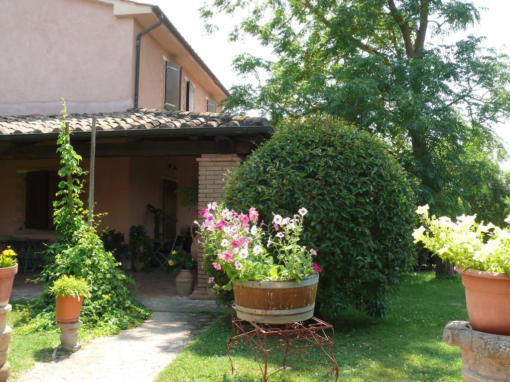 Agriturismo Da Lorena Marsiliana Kültér fotó