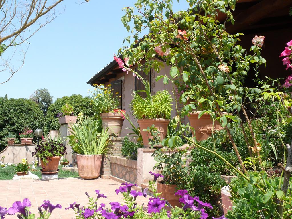 Agriturismo Da Lorena Marsiliana Kültér fotó