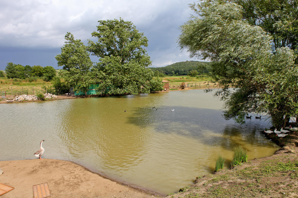 Agriturismo Da Lorena Marsiliana Kültér fotó